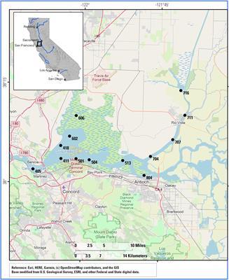 Reassessing Particulate Organic Carbon Dynamics in the Highly Disturbed San Francisco Bay Estuary